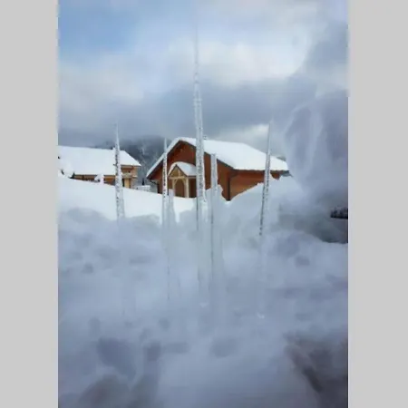 Des Hauts De France * Xonrupt-Longemer